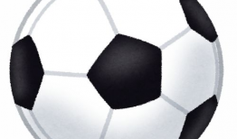 漫画足球场,漫画中的绿茵世界